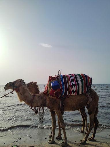 photo-10